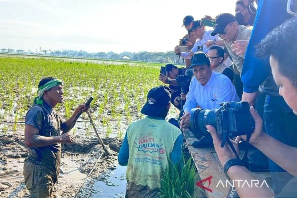 Pemerintah Gaji Petani Pulihkan Sawah Terdampak Bencana