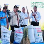 Swasembada Pangan Jadi Bukti Keberhasilan Program Strategis Presiden Prabowo