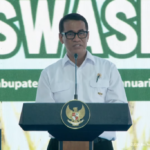 Swasembada Beras Indonesia Diakui Dunia, Harga Beras Global Turun 44 Persen