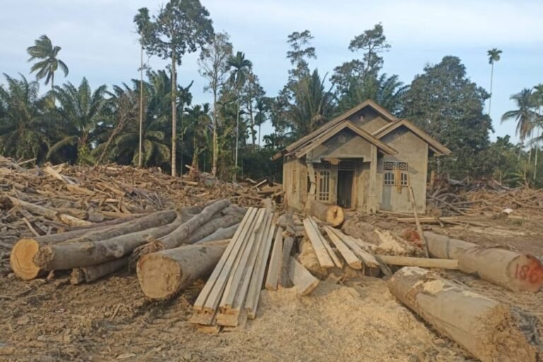 Kayu Hanyutan Pascabanjir Sumatra Dimanfaatkan, Pemulihan Infrastruktur Dipercepat