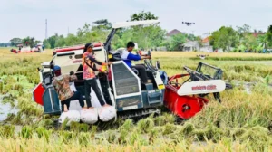 Indonesia Berhasil Capai Swasembada Pangan Lebih Cepat dari Target