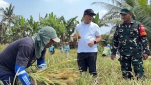 Mengapresiasi Komitmen Pemerintah Jaga Surplus dan Stabilitas Harga Pangan Nasional