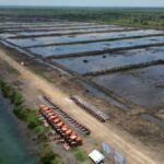 Wujudkan Swasembada Pangan Pemerintah Ambil Langkah Strategis Cetak Sawah 20 ha di Kaltim