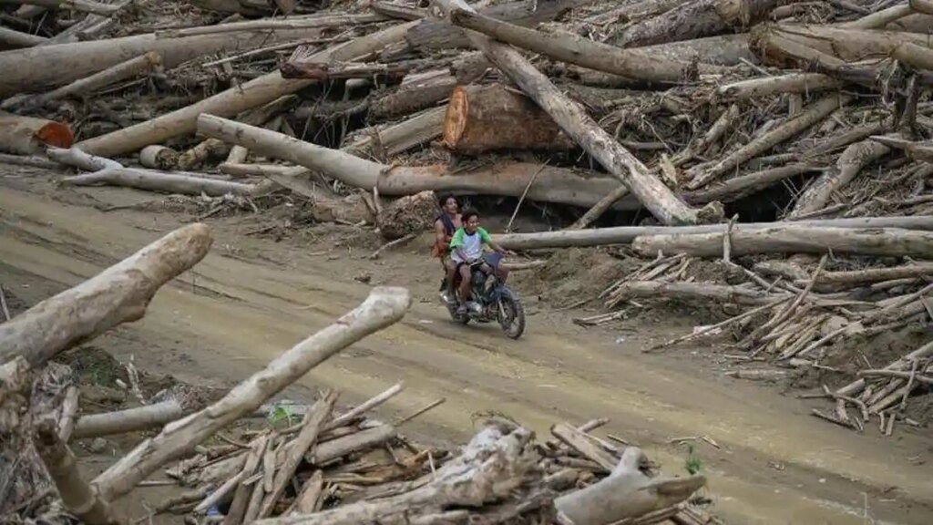 Pemerintah Terus Bersihkan dan Salurkan Kayu Gelondongan untuk Pemulihan Akses dan Permukiman