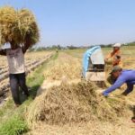 Menguatkan Petani Lewat Ekspansi Koperasi Merah Putih