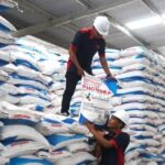 Deregulasi Pupuk Berbuah Manis, Swasembada Pangan Multi Komoditas Kian Kokoh