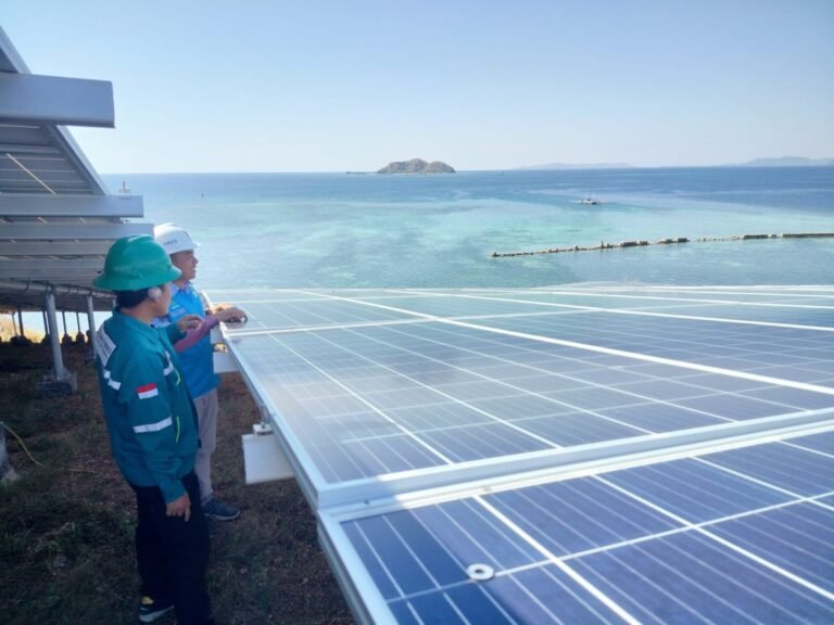 Menopang Ketahanan Energi Papua melalui Penguatan Produksi dan EBT