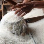 Deregulasi, Hilirisasi, dan Ekspansi Lahan, Strategi Komprehensif Jaga Ketahanan Pangan