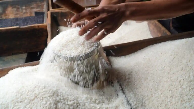 Deregulasi, Hilirisasi, dan Ekspansi Lahan, Strategi Komprehensif Jaga Ketahanan Pangan