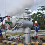 Ketahanan Energi Papua dan Urgensi Penguatan SDM Hilir