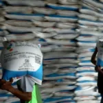 Pemerintah Pastikan Alokasi Pupuk Subsidi untuk Ketahanan Pangan Nasional
