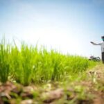 Pemerintah Perkuat Perlindungan Sawah dan Reforma Agraria untuk Jaga Swasembada Pangan