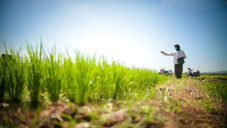 Pemerintah Perkuat Perlindungan Sawah dan Reforma Agraria untuk Jaga Swasembada Pangan