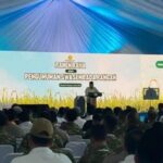 Pemerintah Optimistis Serapan Gabah 2026 Tembus 4 Juta Ton, Perkuat Swasembada Pangan Berkelanjutan