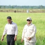 Swasembada Pangan Multi Komoditas: Dari Surplus Produksi Menuju Kedaulatan Sistemik