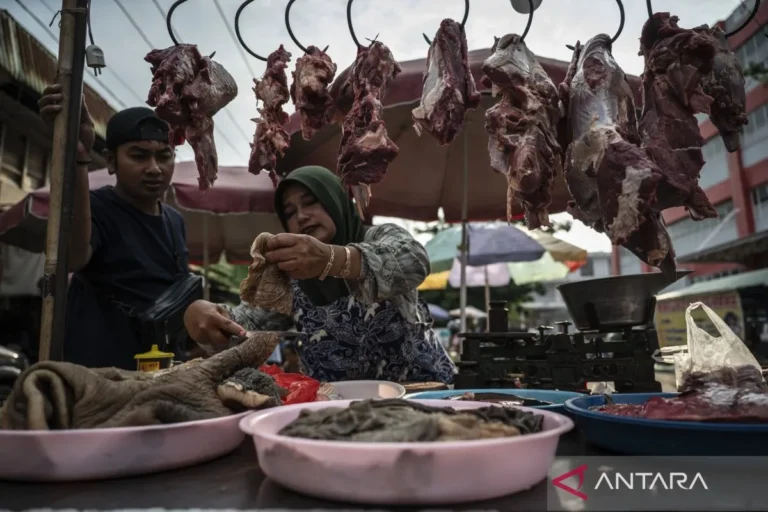 Fundamental Ekonomi Nasional Tetap Kuat di Tengah Guncangan Pasar