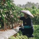 Swasembada Pangan: Fondasi Struktural Menuju Kedaulatan dan Daya Saing Global