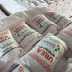 Swasembada Pangan dan Pupuk Terjangkau Jadi Prioritas Pemerintah