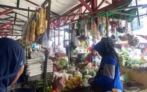 Pemerintah Perkuat Stabilitas Pangan dan Energi di Tengah Dinamika Global