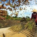 Swasembada Pangan Dipercepat untuk Jaga Stabilitas Dalam Negeri