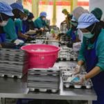 MBG Didorong sebagai Instrumen Fiskal untuk Perkuat Ekonomi Nasional