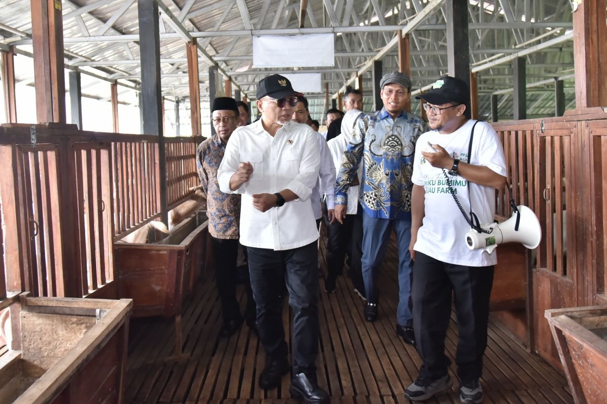 Ketahanan Pangan dan Pentingnya Sinergi Pemerintah Daerah