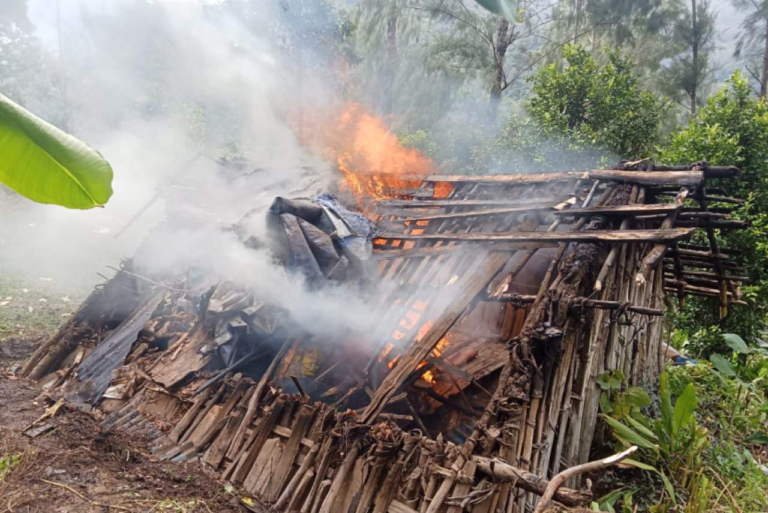 Teror OPM di Mimika Kembali Memakan Korban Sipil, Aparat Perkuat Perlindungan Warga