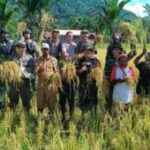 Pemerintah Percepat Penguatan Ketahanan Pangan Papua Demi Kesejahteraan dan Masa Depan Masyarakat