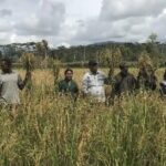 Sinergi Lintas Pihak Perkuat Ekosistem Pangan Papua untuk Sukseskan Program MBG