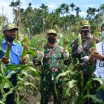 TNI Perkuat Ketahanan Pangan sebagai Pilar Pembangunan Papua