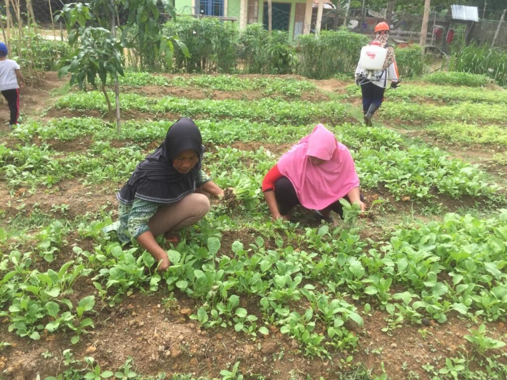 Desa Produktif Menjadi Kunci Ketahanan Pangan Nasional