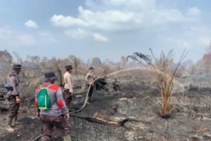Pemerintah Tingkatkan Kesiapsiagaan Hadapi Ancaman Karhutla