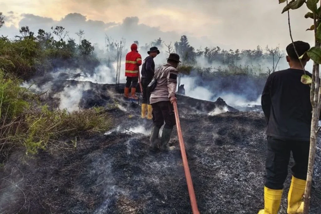 Perlindungan Kesehatan, Pendidikan, dan Bansos Disiapkan bagi Korban Karhutla