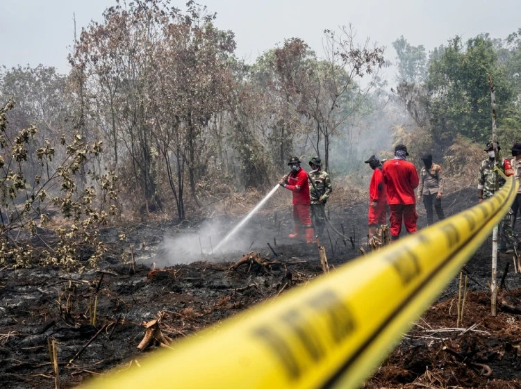 Negara Hadir Melawan Karhutla Lewat Sanksi dan Pidana Tegas