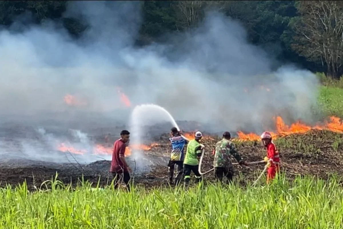 Pemerintah Perkuat Operasi Lintas Sektor Hadapi Ancaman Karhutla