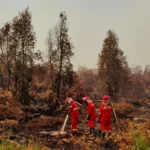 Pemerintah Siagakan Langkah Antisipatif Cegah Dampak El Nino