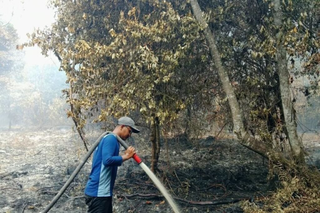 Inpres 11/2026 Langkah Pemerintah Perkuat Kolaborasi Nasional Hadapi Karhutla