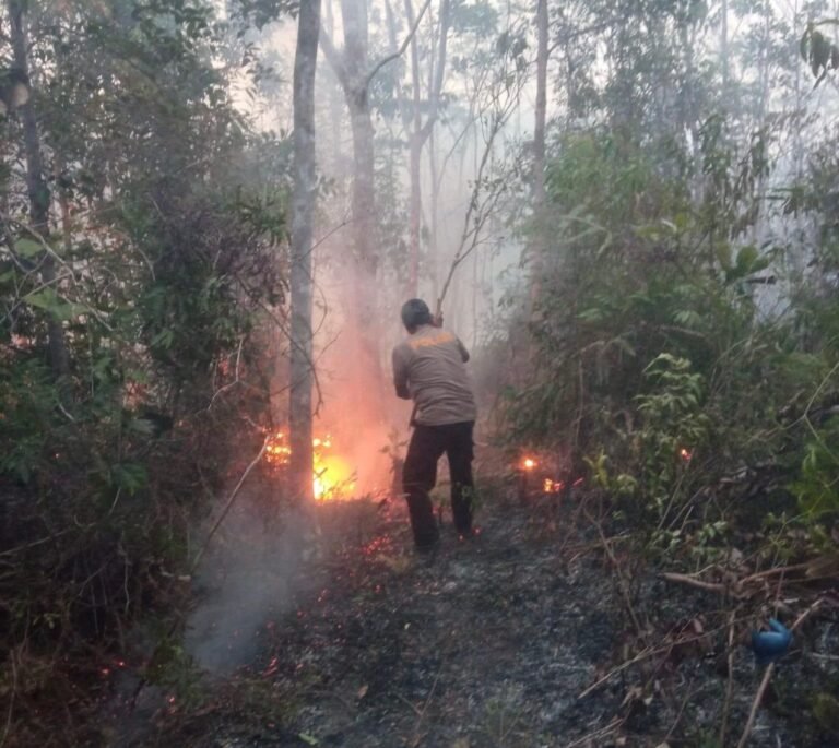 Pemerintah Bergerak Tekan Dampak Karhutla bagi Masyarakat