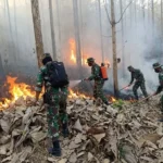Pemerintah Bergerak Maksimal Atasi Karhutla, Mitigasi Diperkuat Jelang Puncak El Nino