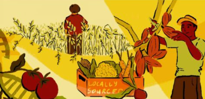 Kedaulatan Pangan Didorong melalui Produksi, Teknologi, dan Kesejahteraan Petani
